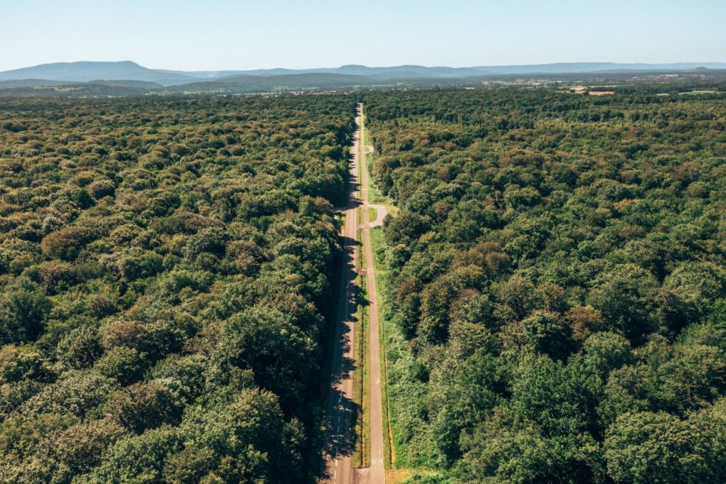 Voie des Salines en forêt de Chaux © Prépare ta Valise/Jura Tourisme