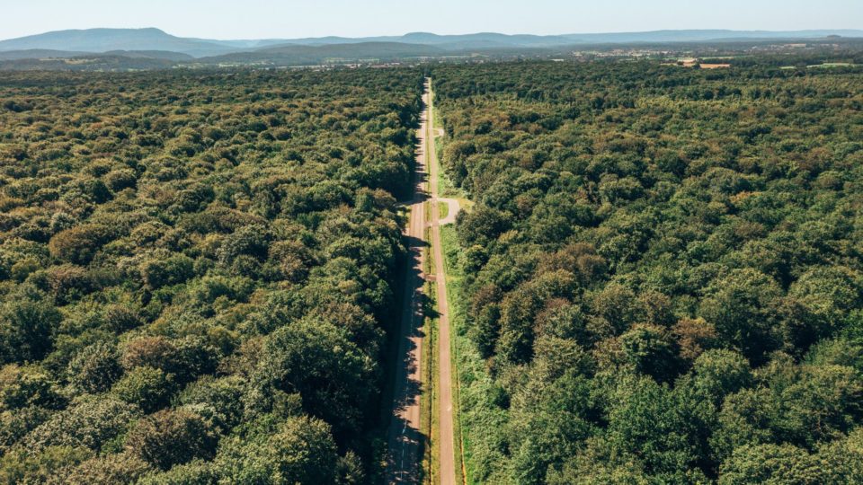 Voie des Salines en forêt de Chaux © Prépare ta Valise/Jura Tourisme