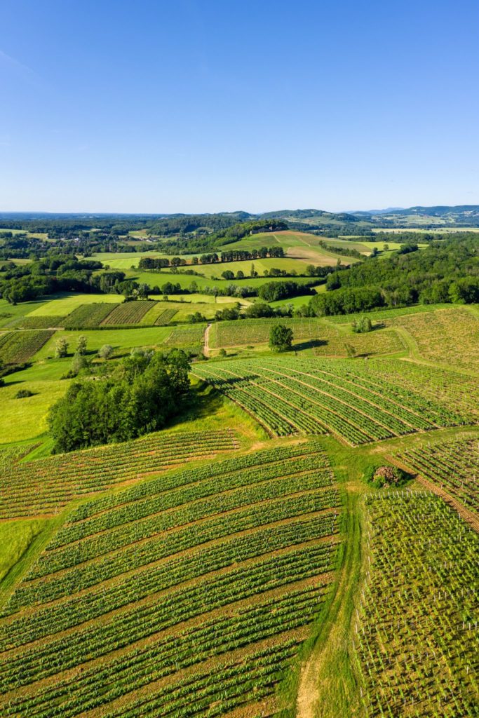 Vignoble d'Arlay © www.stephane-godin.com/Jura Tourisme 