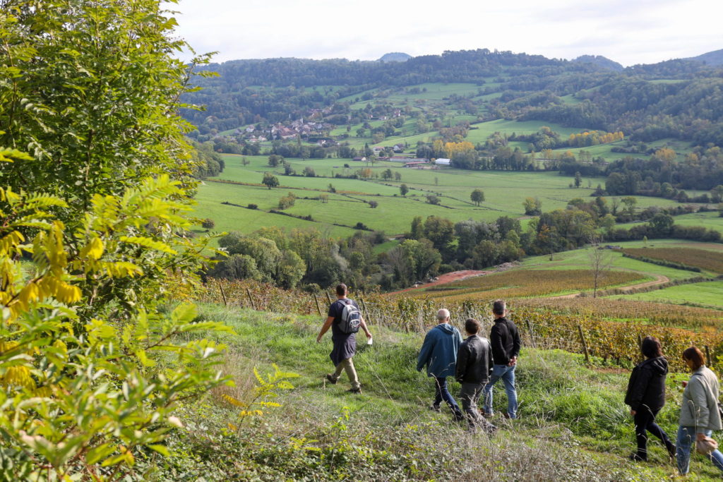 Balade entre les vignes avec l'Office de Tourisme de Lons-le-Saunier / Domaine Pignier © Salomé Robin/Jura Tourisme