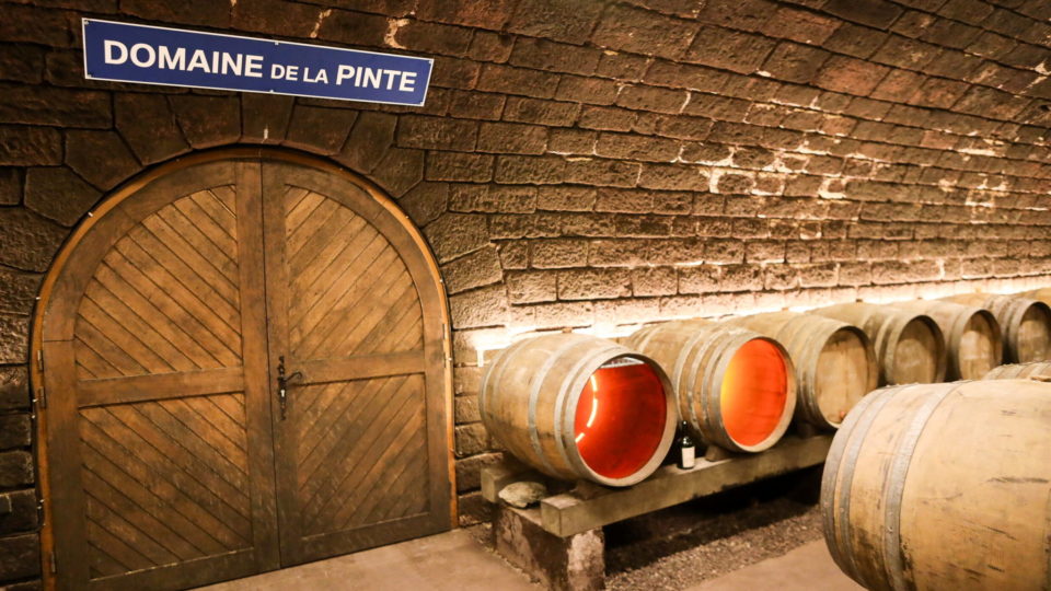 Cave du Domaine de la Pinte © Salomé Robin/Jura Tourisme