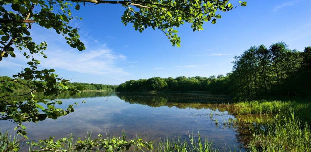 Etang de la Bresse jurassienne, © Stéphane Godin/Jura Tourisme