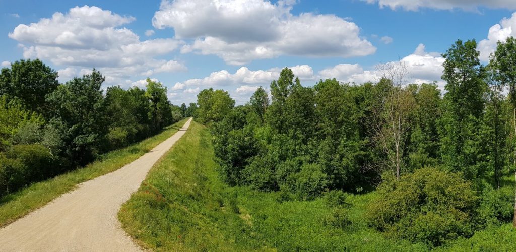Réserve Naturelle Nationale de l'île du Girard © Jura Tourisme
