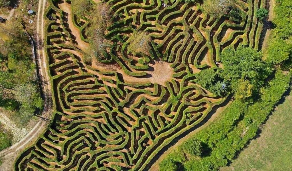 Labyrinthe de la forêt fantastique © Michel.M