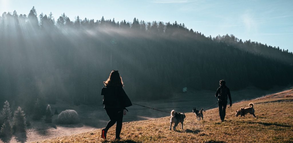 Cani-rando © RefuseToHibernate / Jura Tourisme