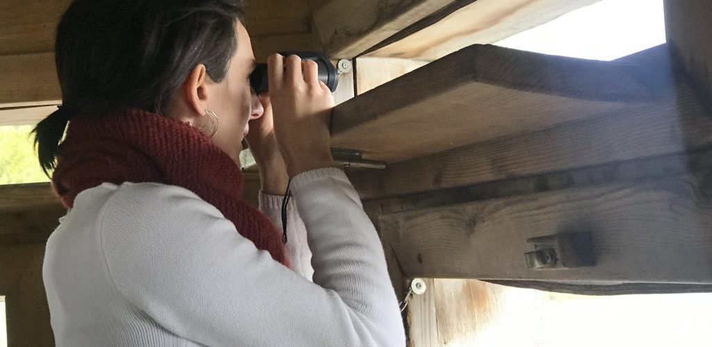 Observatoire à oiseaux à l'étang Vaillant © Jura Tourisme