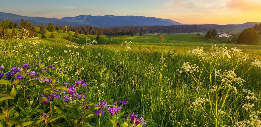 Les Hautes-Combes © www.stephane-godin.com/Jura Tourisme