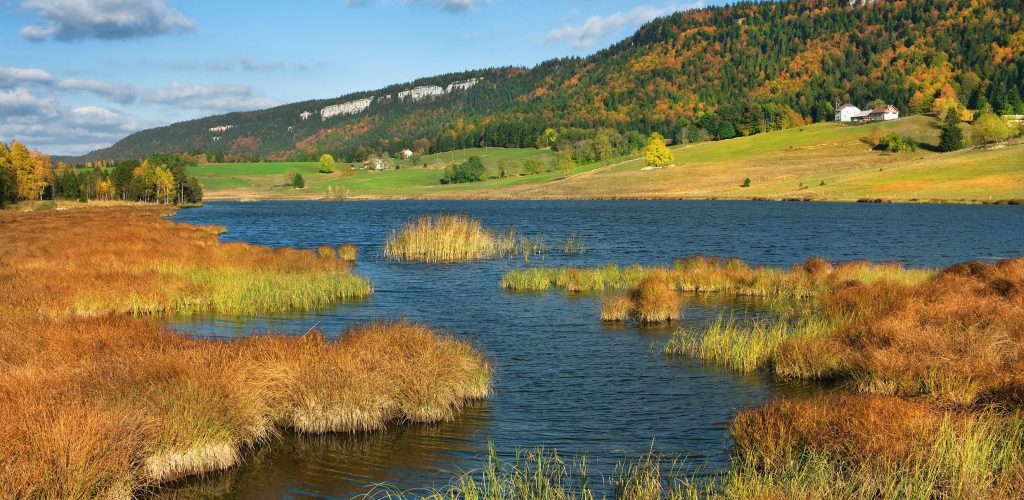 Tourbière de Bellefontaine © Jack Carrot/Jura Tourisme