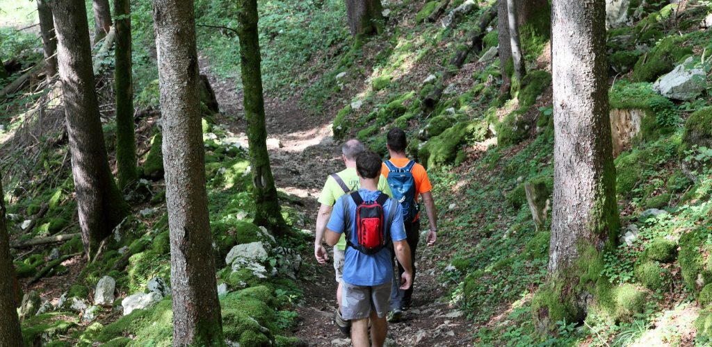 Randonneurs en forêt © Vincent Gaudin/Jura Tourisme