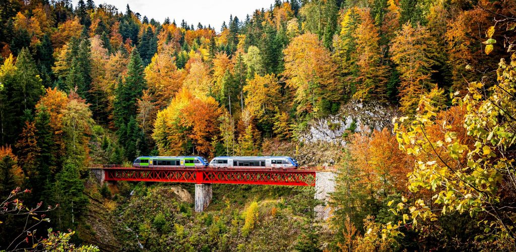 Ligne des Hirondelles