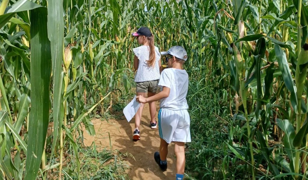 labyrinthe Maïs © Jura Tourisme