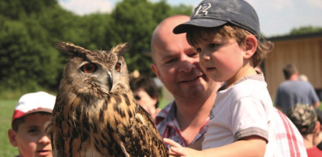 Jurafaune © Office de tourisme JurAbsolu