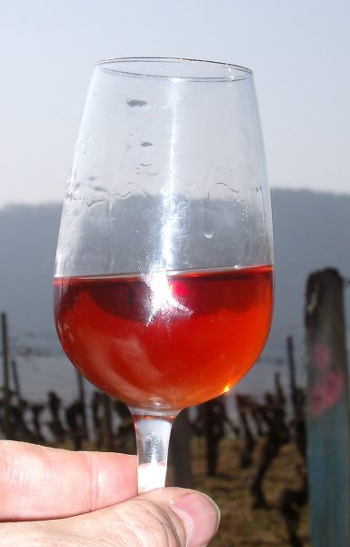 Verre de Ploussard © Michel Campy