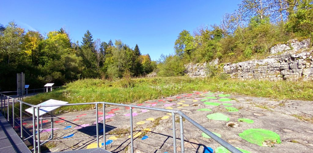 site empreintes dinosaures loulle automne 2025 ©CC CNJ