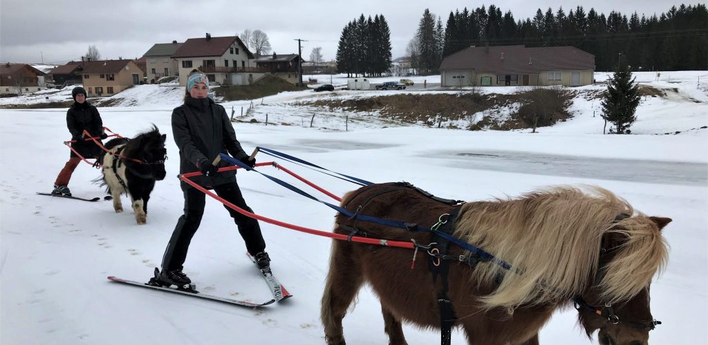 Ski-joëring aux Molunes © Jura Tourisme