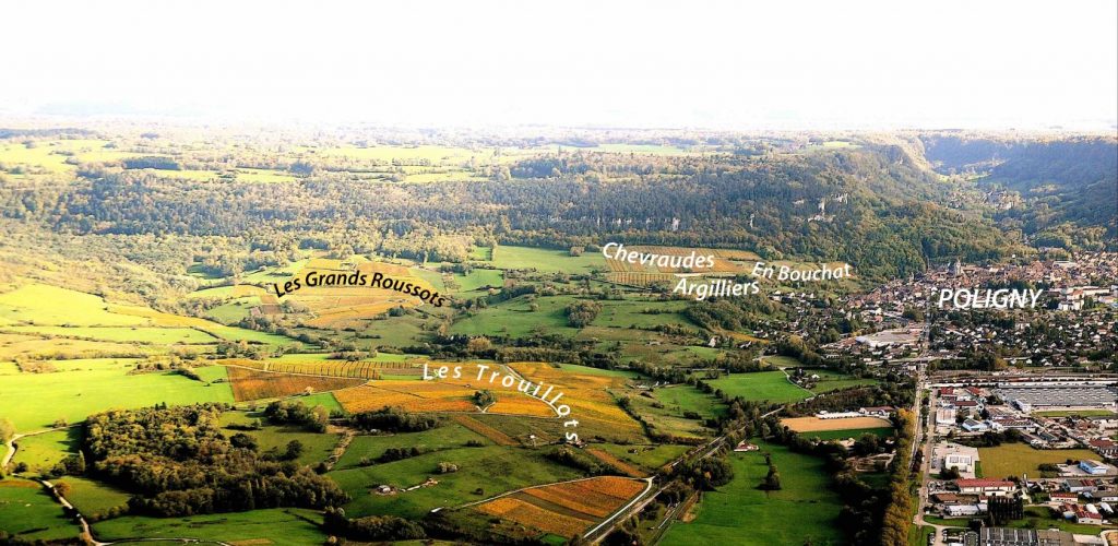 Coteaux viticoles des Trouillots, des Grands Roussots, Chevraudes, Argilliers, En Bouchot © Michel Campy