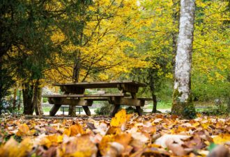 Cascade et reculée de la Frasnée