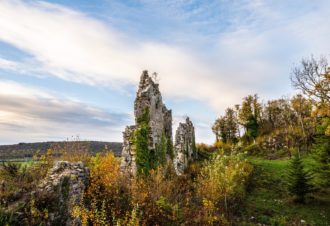 Vestiges du château de la Tour-du-Meix