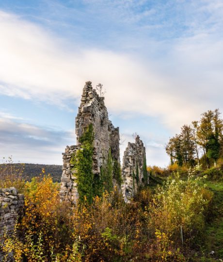 Vestiges du château de la Tour-du-Meix