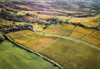 Belvédère du vignoble