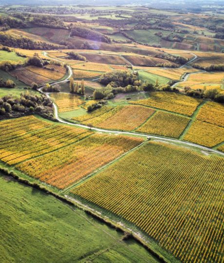 Belvédère du vignoble