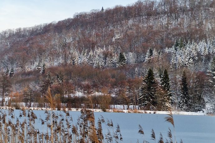 LacdeBesain_neige_Besain(hiver2025)4