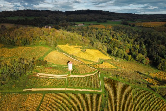 ©Audrey.Tissot_Tour_Curon_vignes(automne2024)