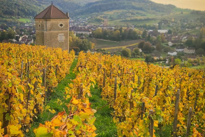 ©Audrey.Tissot_Tour_curon(automne2024) (1)