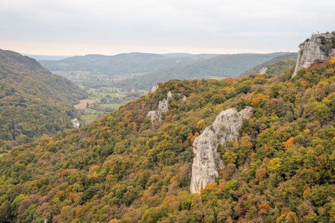 ReculéedesPlanches(automne2025) (2)