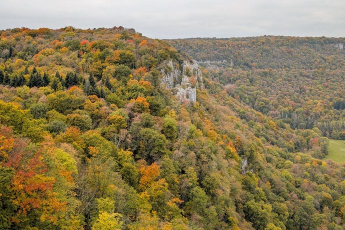 ReculéedesPlanches(automne2025)1 (1)