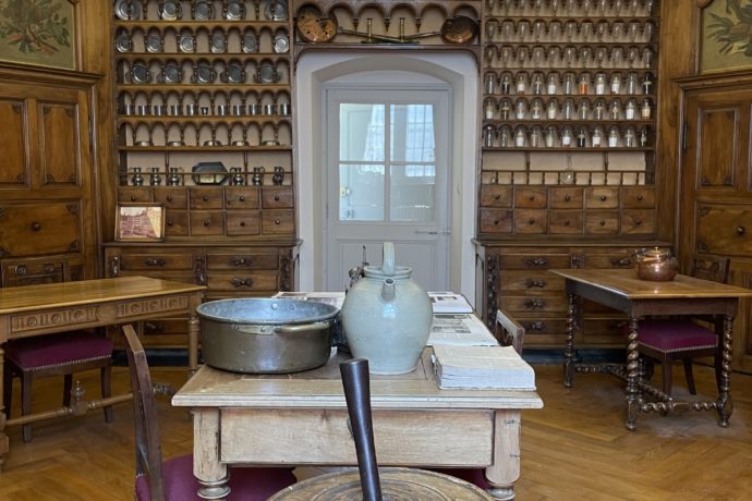 ©Clémence Duprat_Apo_morthier