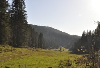 Séjour sans voiture à Saint-Laurent-en-Grandvaux