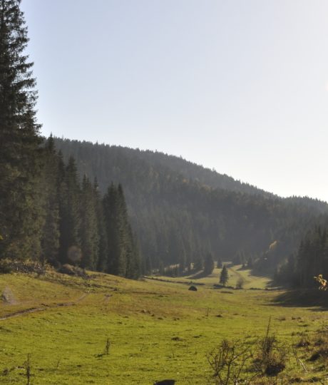 Séjour sans voiture à Saint-Laurent-en-Grandvaux