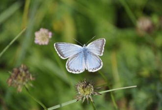 CPIE – Centre permanent d&rsquo;initiatives pour l&rsquo;Environnement du Haut-Jura