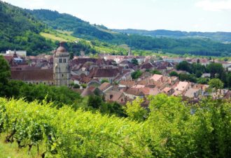 Parc promenade Picquet-Bergere