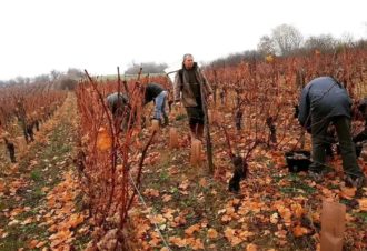 Domaine des Sarmentelles