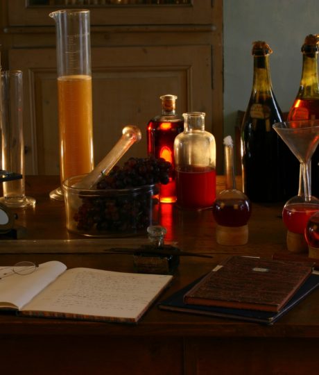 Maison & Laboratoire de Louis Pasteur