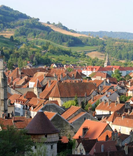 Collégiale Saint Hippolyte