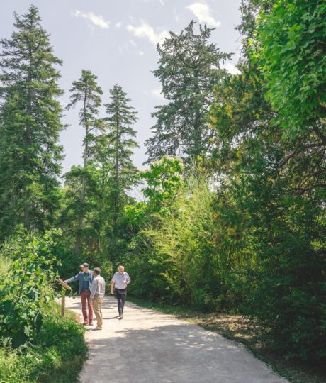 Arboretum Pierre et Serge Antier