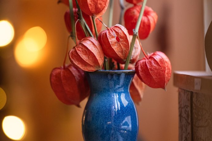 01-physalis-artisans-createur-saint-amour-49