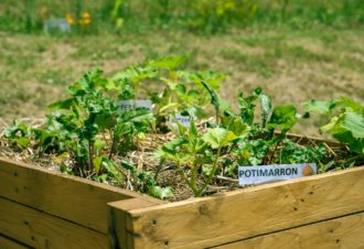 Arboretum Pierre et Serge Antier