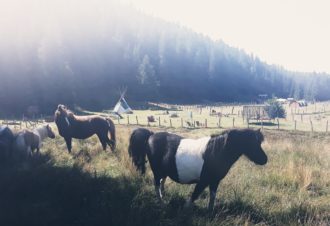 Aire naturelle de camping – La Ferme de l’Enquerne