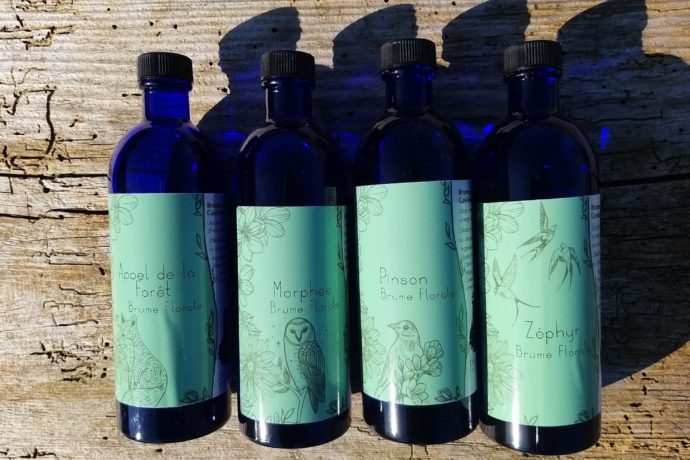 Brumes de la ferme Cassiopée