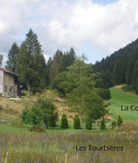 1394307Les Tourbières du Nanchez – R Martinello