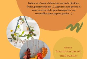 Balade d’automne et récolte d’éléments naturels