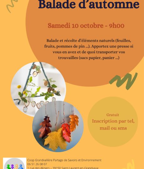 1920796Balade d’automne et récolte d’éléments naturels