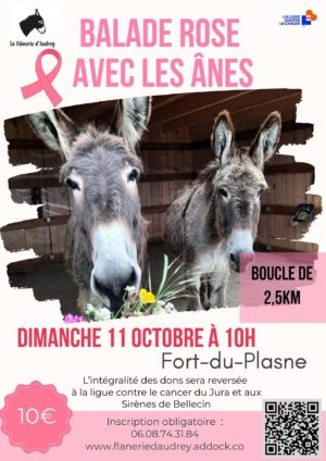 10 11 la flanerie d&rsquo;audrey octobre rose