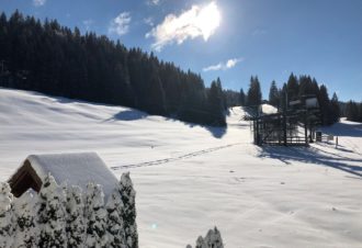 Le Logis du Loup Blanc – Appartement en résidence – P813LAB00