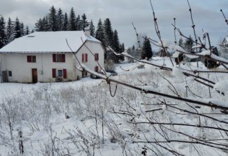 La Ferme des Paradis – Appartement en maison – P603DAC00