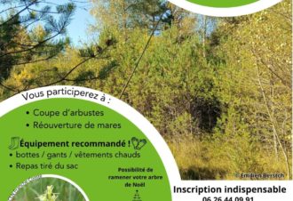 Chantier participatif